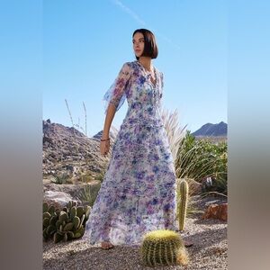 Johnny Was Glinda Silk Maxi Dress